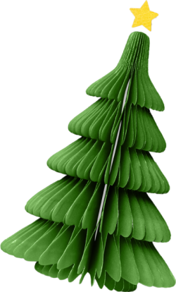 Cây thông, noel, giáng sinh, Pine tree