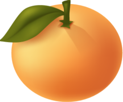 Trái quýt, quýt, quả quýt, orange