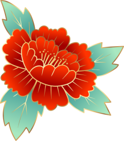 Tết, xuân, hoa, hoa mẫu đơn, flower