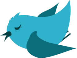 chim, bird
