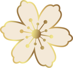 Tết, xuân, hoa, hoa đào, flower, cherry blossom