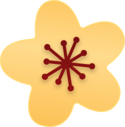 hoa mai, flowers