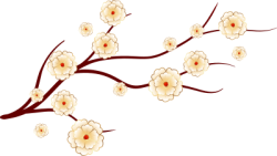 Tết, xuân, hoa, hoa đào, flower