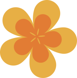 Tết, xuân, hoa, hoa mai, hoa đào, flower 1