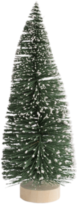 Giáng sinh, noel, trang trí, decor, cây thông, pine