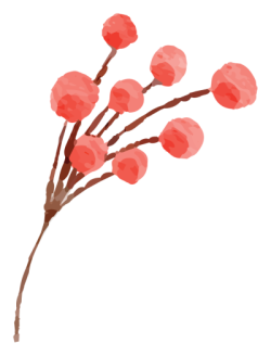 hoa, flower, hoa hồng, mẫu đơn,rose, peony, flower bud, nụ hoa