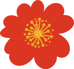 Tết, xuân, hoa, hoa anh đào đỏ, hoa anh đào, hoa đào, flower