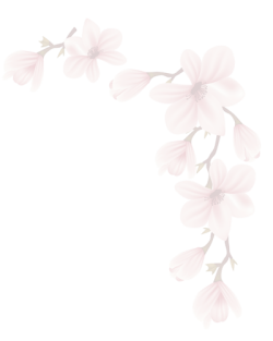 Hoa, flowers