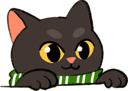 Mèo, cat, cute, dễ thương, mèo đen