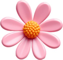 hoa, flower