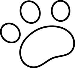 Cat, mèo, bàn tay mèo, tay mèo, cute, dễ thương, line, doodle