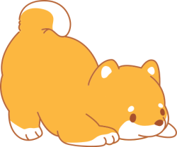 dog, chó, pet, thú cưng