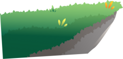 Cỏ, đám cỏ, bãi cỏ, grass