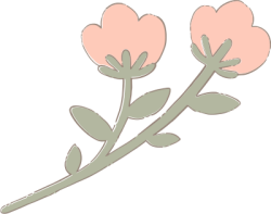 Hoa, flower, dễ thương, cute