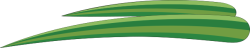 lá, leaf
