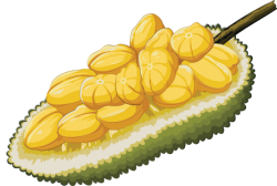 Trái mít, Jackfruit