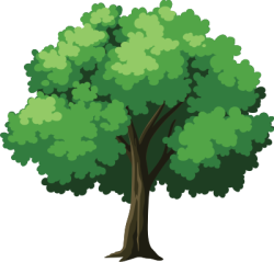 Cây, tree