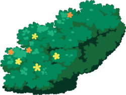 cỏ, grass, bãi cỏ, lawn