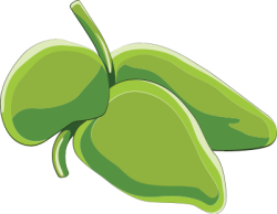 trái dừa, coconut