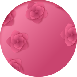 Hoa, flower, hoa hồng, rose