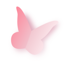 Bướm, butterfly, bươm bướm