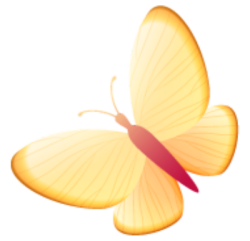 Bướm, butterfly, bươm bướm