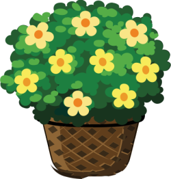 Hoa, chậu hoa, flowers, flower pots