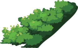 Cỏ, grass, bãi cỏ, lawn