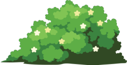 bãi cỏ, lawn, cỏ, grass