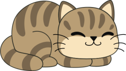 Cat, con mèo