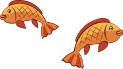 cá, fish