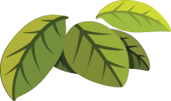 lá, leaf