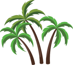 Cây dừa, Coconut tree