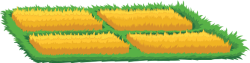đồng ruộng, lúa,fields, rice