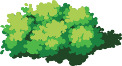 cỏ, grass, bãi cỏ, lawn