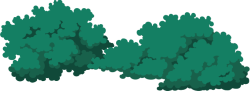 cỏ, grass, bãi cỏ, lawn