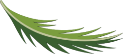 Lá, leaf