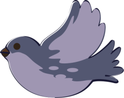chim, bird