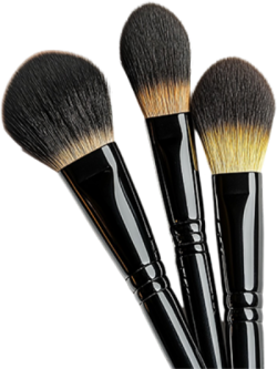 Cọ trang điểm, cọ đánh phấn, cọ, cây cọ, cosmetic, mỹ phẩm