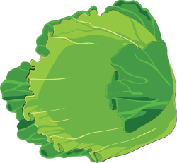 rau, salads,vegetables
