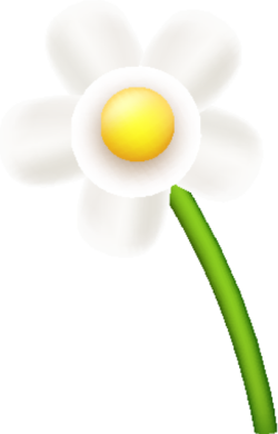 Hoa, flower