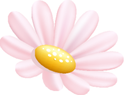 Hoa, flower