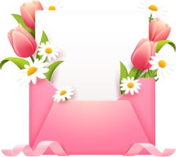 Bao thư, bì thư, thiệp, thiệp mời, phong bì, envelope, tulip, hoa cúc, hoa