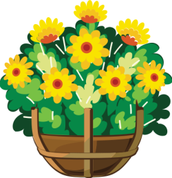Hoa, flower, chậu hoa, flower pot