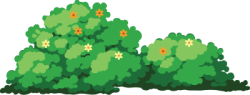 cỏ, grass, bãi cỏ, lawn
