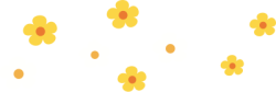 Hoa, flower