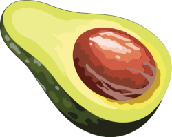 trái bơ,  Avocado