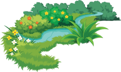 bãi cỏ, cỏ, grass, lawn
