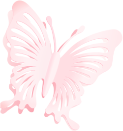 Bướm, butterfly, bươm bướm
