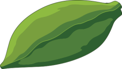 lá, leaf